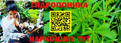 ГАЛЛЮЦИНОГЕННЫЕ ГРИБЫ Будённовск