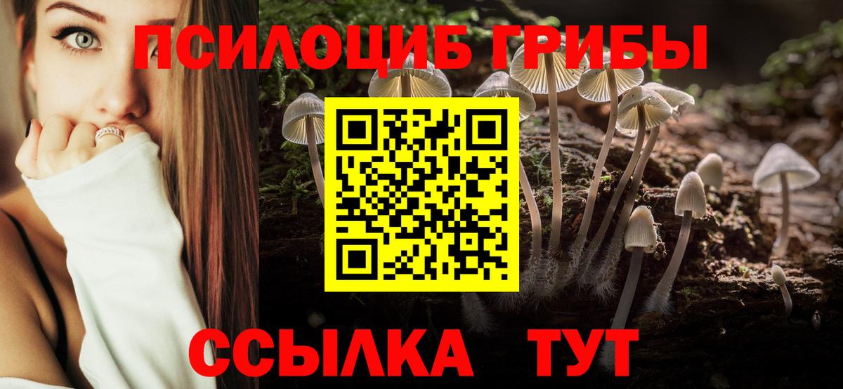 Сальск  цены   Галлюциногенные грибы Cubensis  Вход с VPN  Галлюциногенные грибы мухоморы 